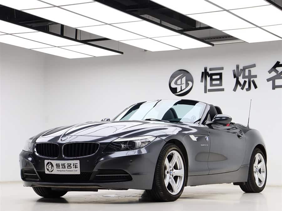 BMW Z4 2010 car image #27