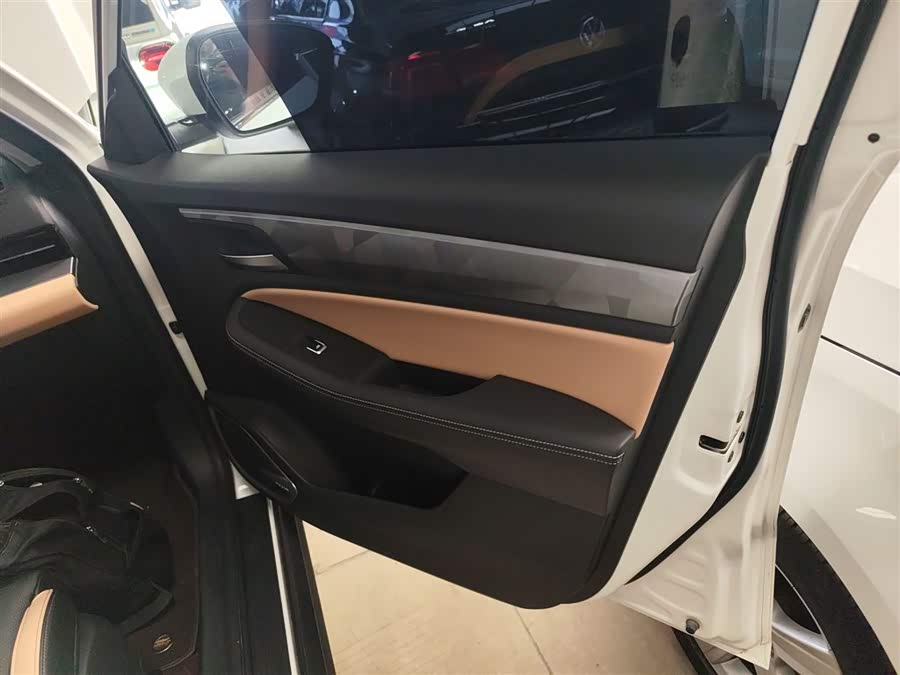 GEELY OkavangoPRO 2024 car image #27