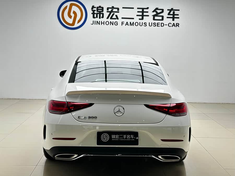 Mercedes-Benz CLS Class 2023 car image #27