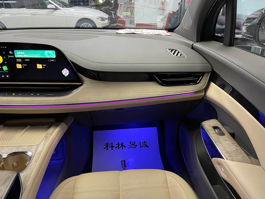 HongQi TianGong 08 2025 car image #27