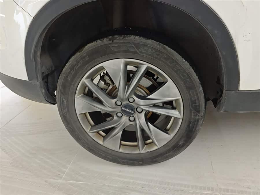 Haval H6 2022 immagine di auto #27