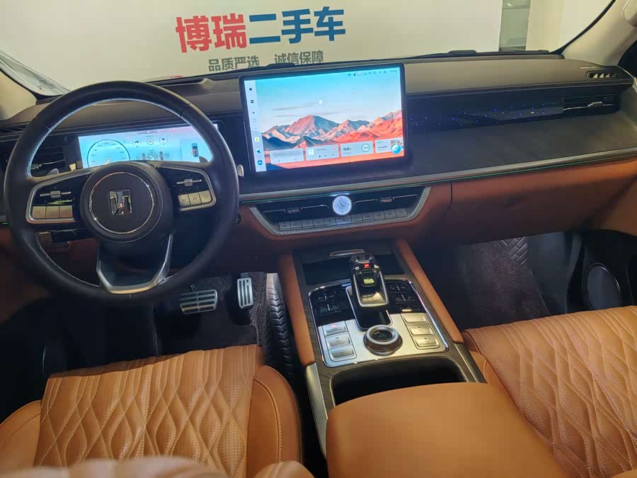 Tank 500 New Energy 2023 #27 Tank 500 New Energy 2023 car image #27