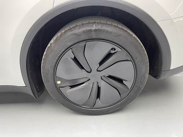 Tesla Model Y 2025 car image #27