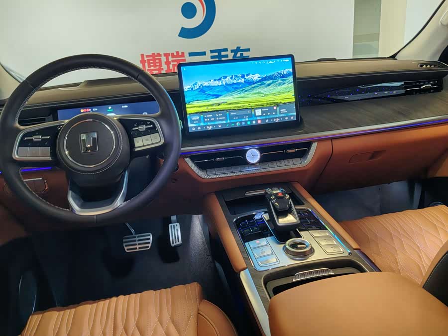 Tank 500 New Energy 2024 immagine di auto #27