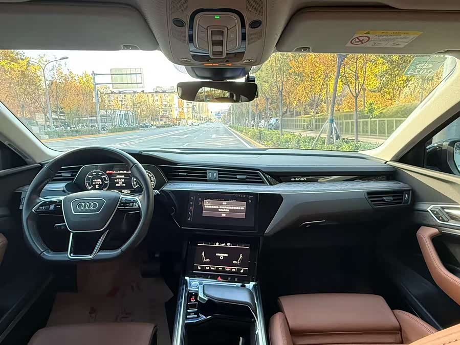 Audi e-tron (Imported) 2022 car image #27