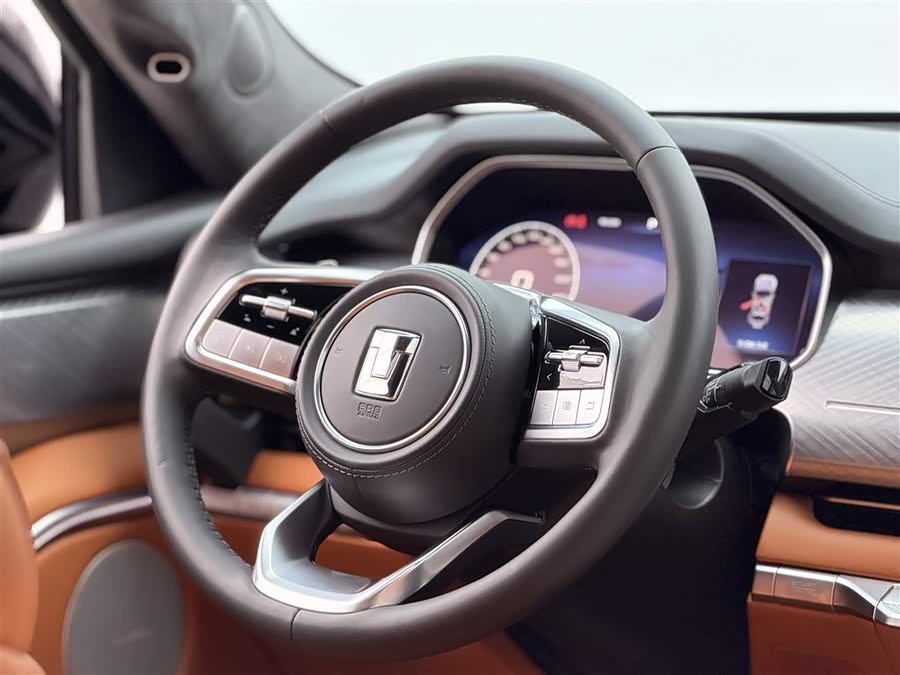 Tank 700 New Energy 2024 imagen de coche #27