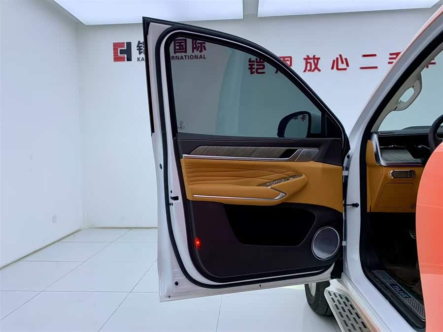 Tank 500 New Energy 2024 immagine di auto #27