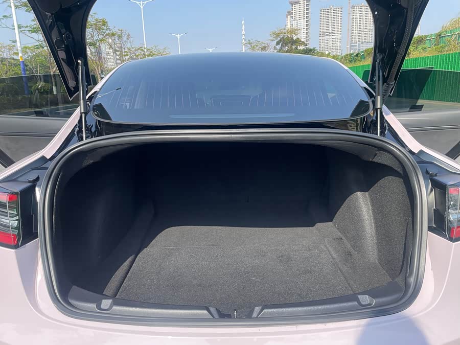 Tesla Model 3 2020 image de voiture #27