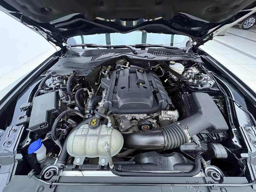 Ford Mustang 2023 car image #27