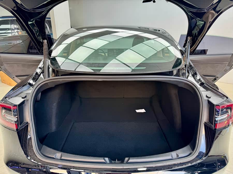 Tesla Model 3 2021 car image #27