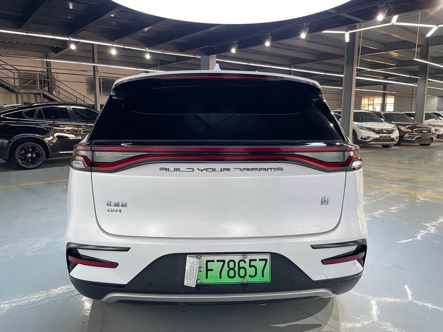 BYD Tang New Energy 2023 car image #27