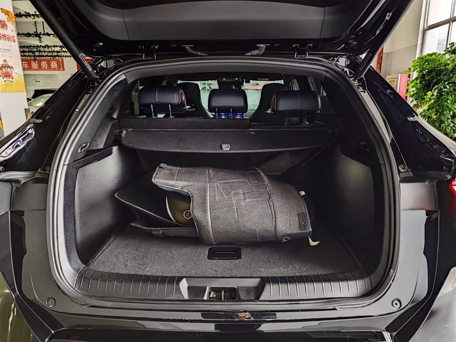 BYD Song Plus New Energy 2023 car image #27