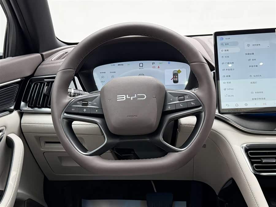 BYD Song Plus New Energy 2025 car image #27