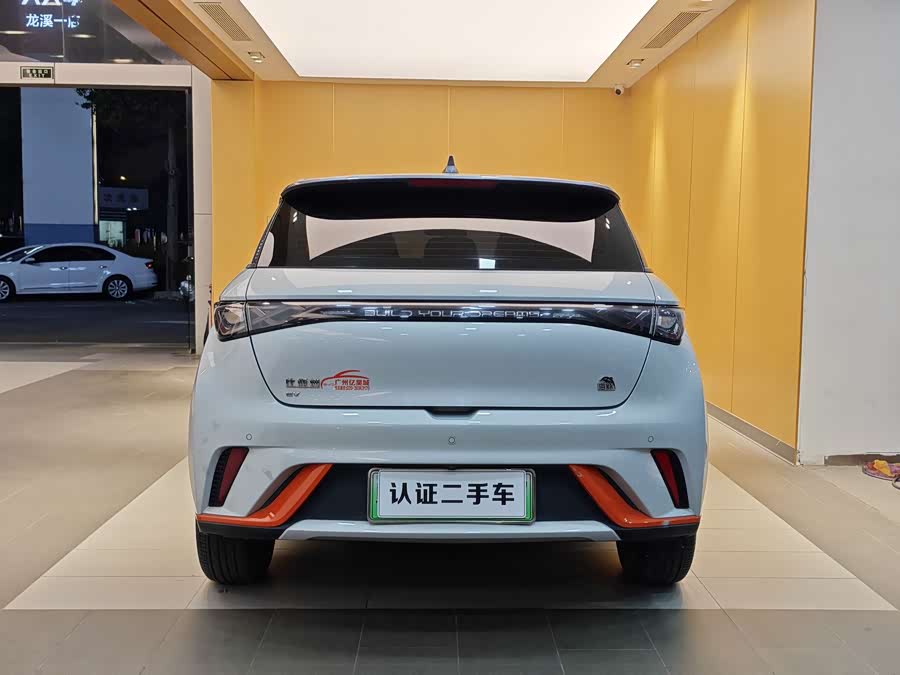 BYD Dolphin 2022 car image #27