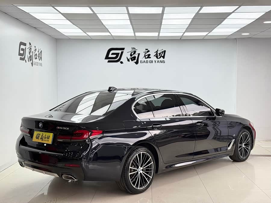 BMW 5 Series 2022 immagine di auto #27