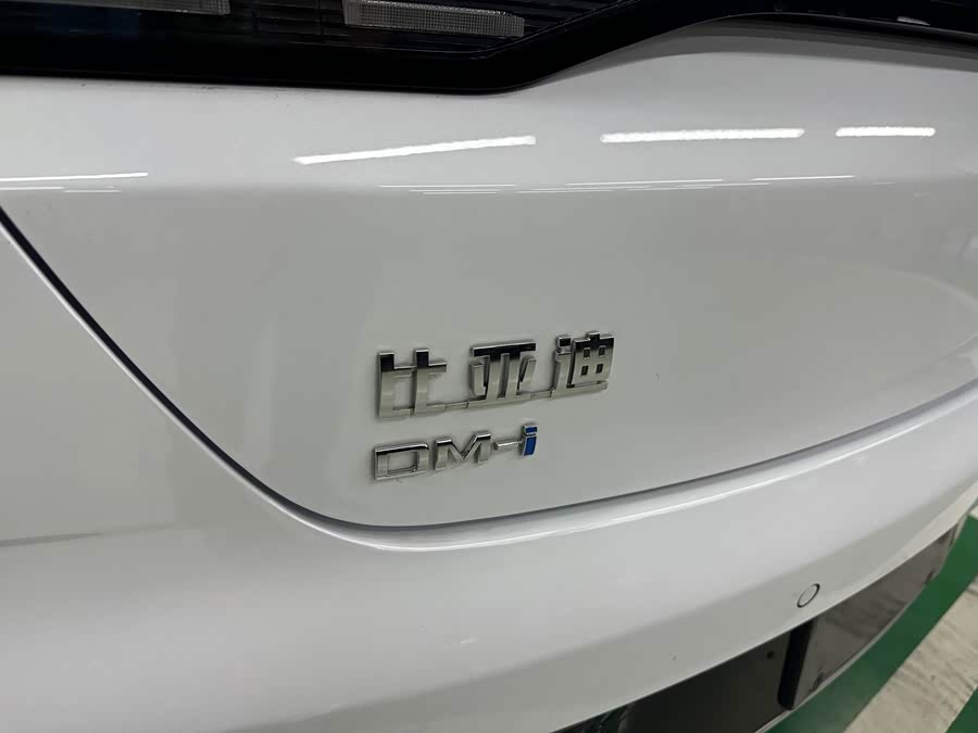 BYD Destroyer 05 2024 car image #27