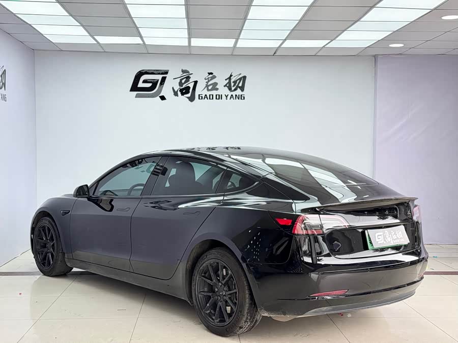 Tesla Model 3 2021 #27 Tesla Model 3 2021 car image #27
