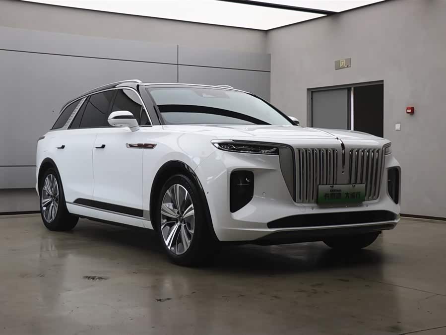 HongQi E-HS9 2023 изображение автомобиля #27