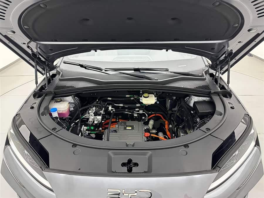 BYD Song Plus New Energy 2025 car image #27