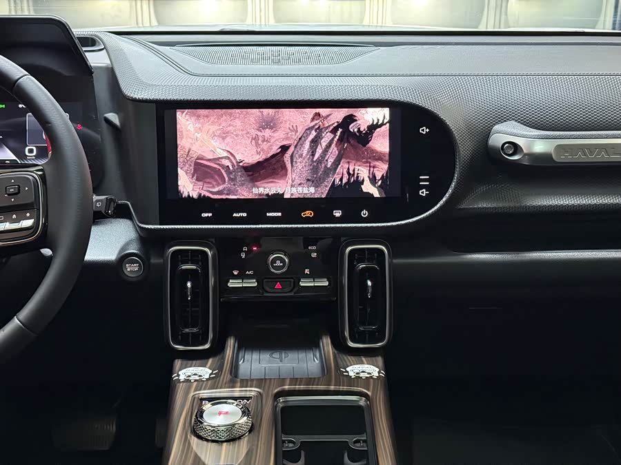 Haval X Dog / Dargo 2024 immagine di auto #27