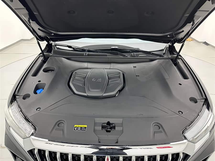 HongQi HS5 2023 immagine di auto #27