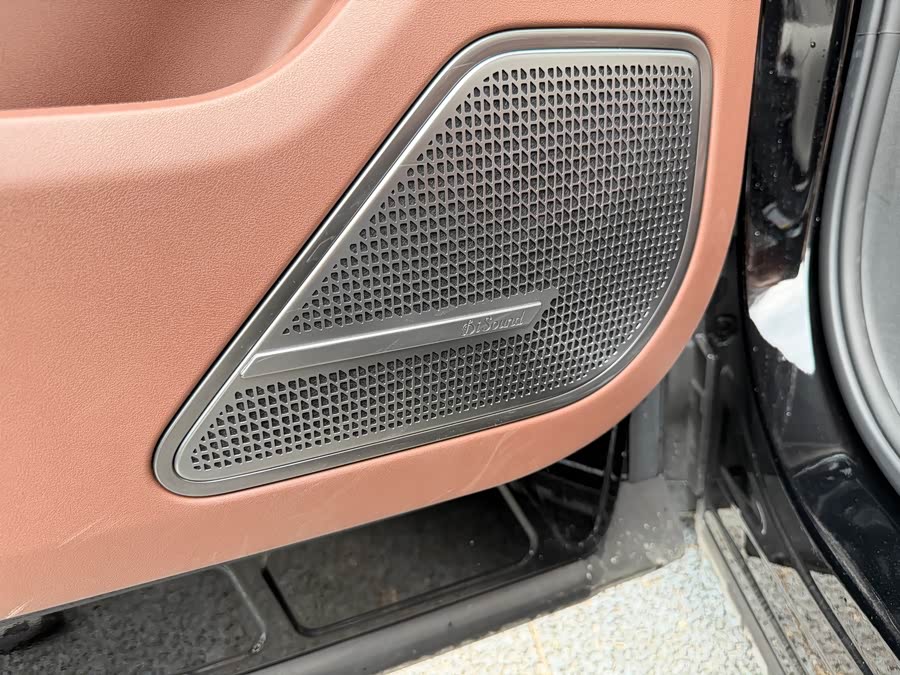 BYD Xia 2025 imagen de coche #27