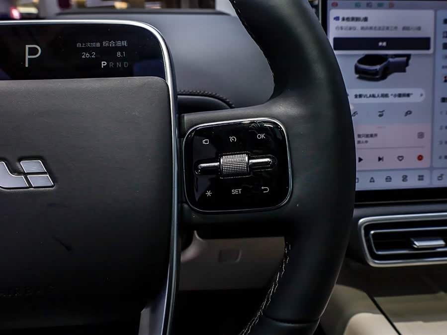 Li L7 2025 immagine di auto #27