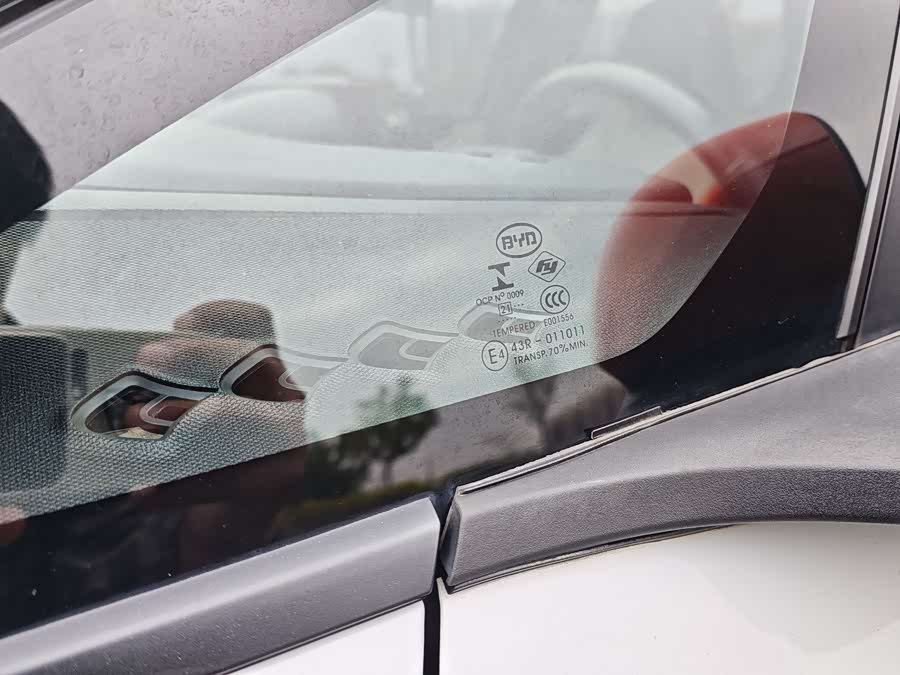 BYD Dolphin 2021 imagen de coche #27