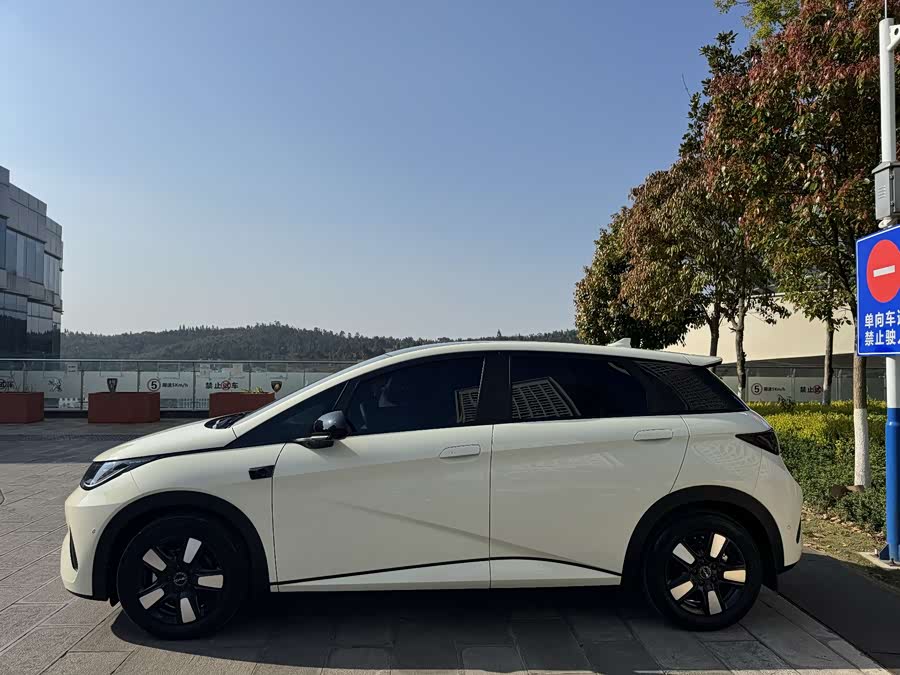 BYD Dolphin 2025 صورة سيارة #27