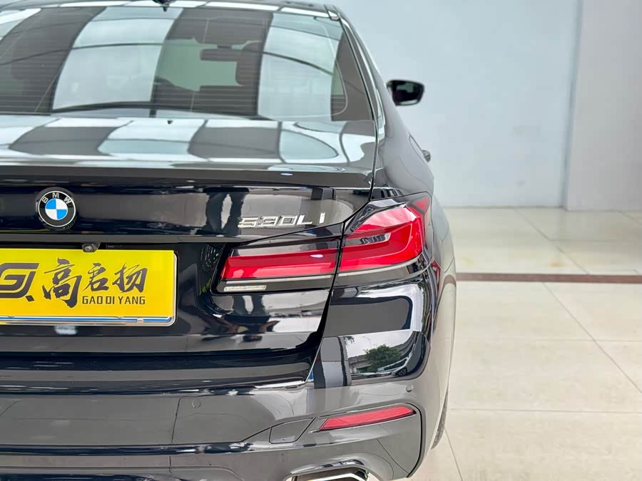 BMW 5 Series 2020 immagine di auto #27