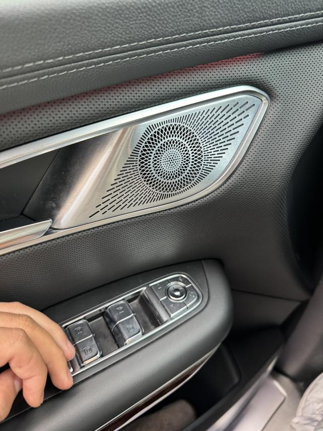 HongQi HQ9 2023 car image #27