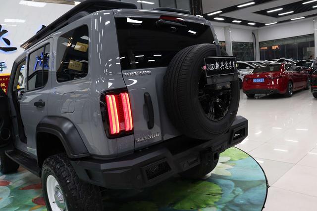 坦克 坦克300 2024 汽车图片 #27