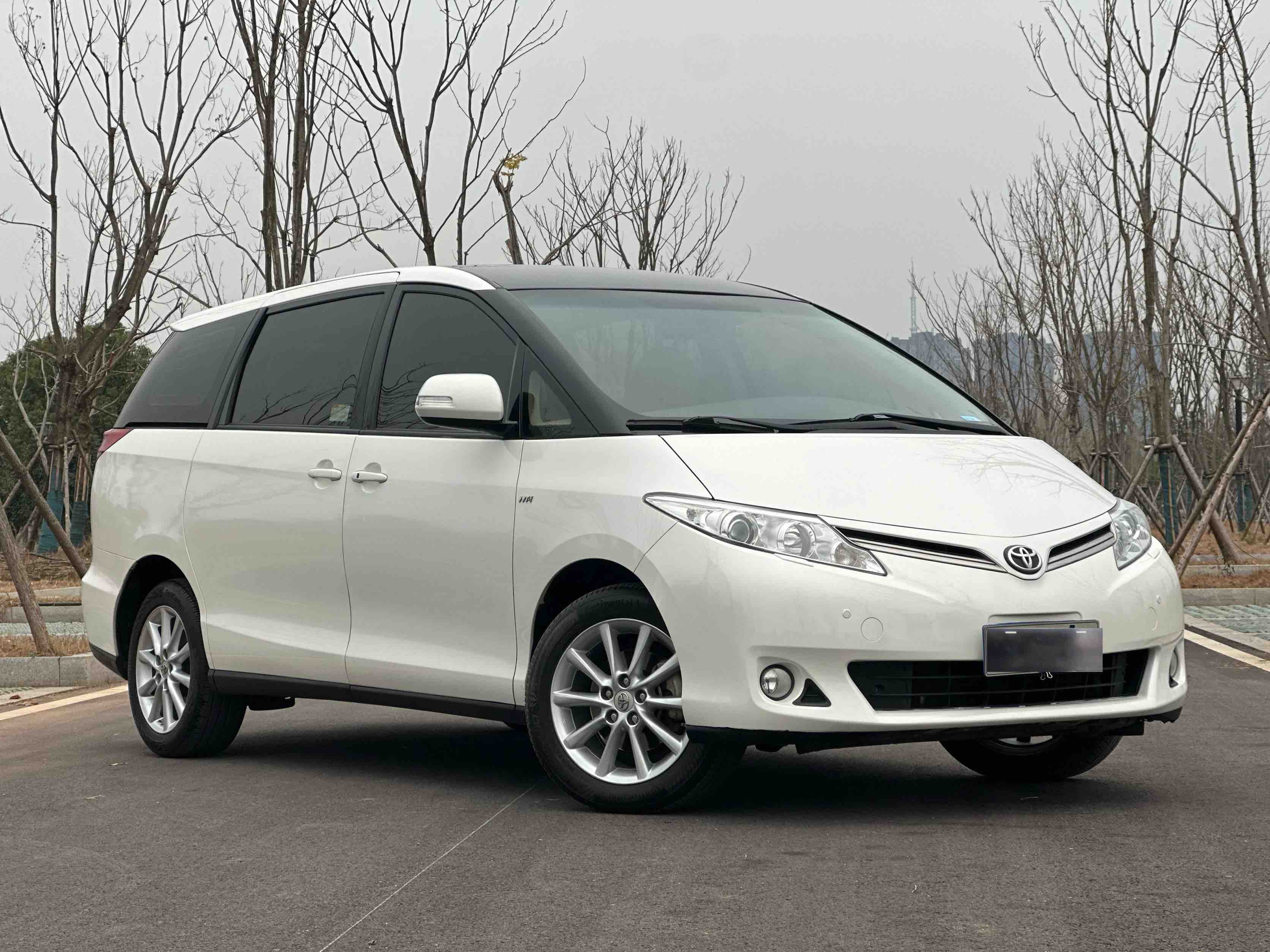 Toyota Previa 2017 car image #27