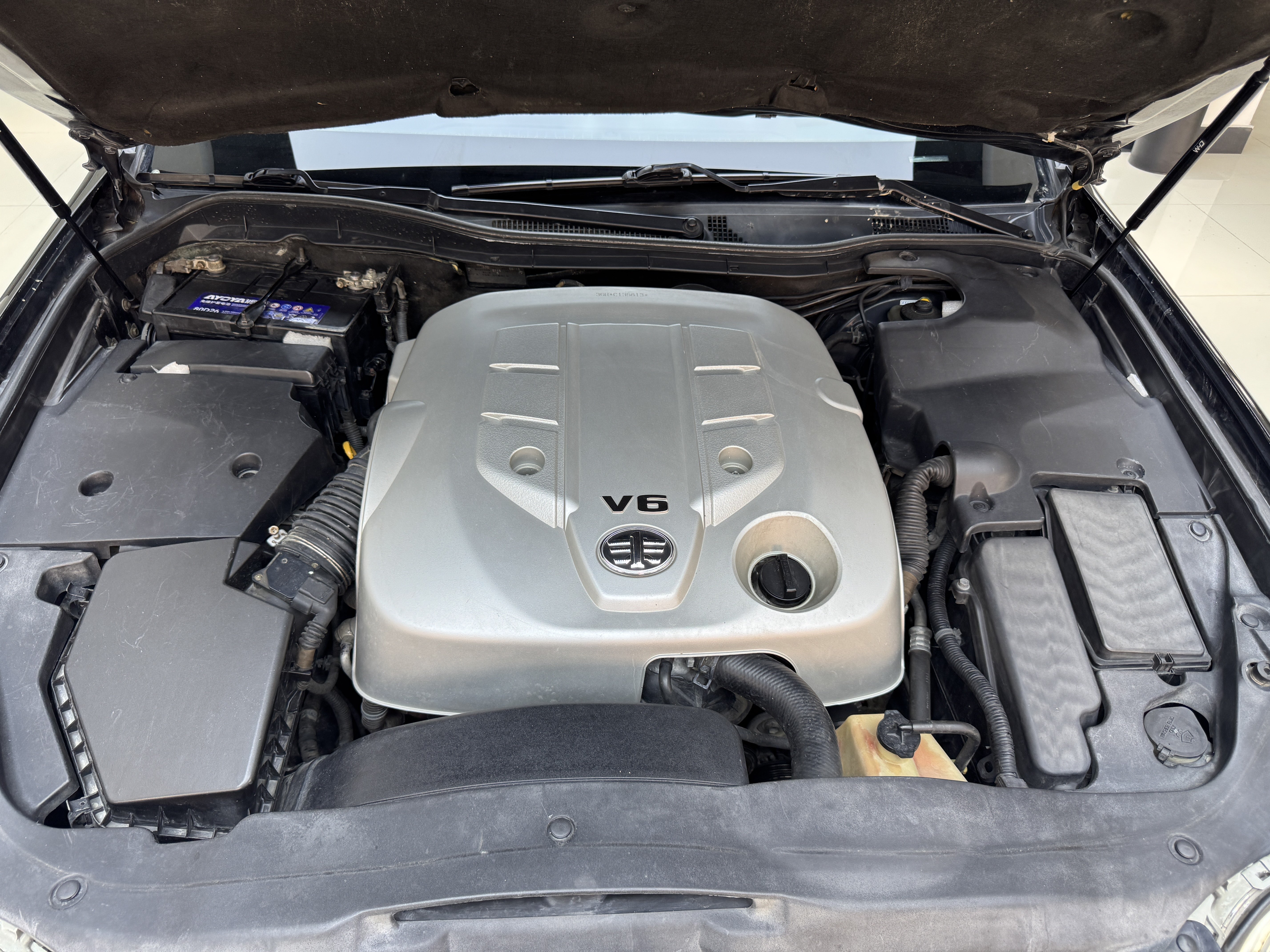 HongQi ShengShi 2008 #27 HongQi ShengShi 2008 car image #27