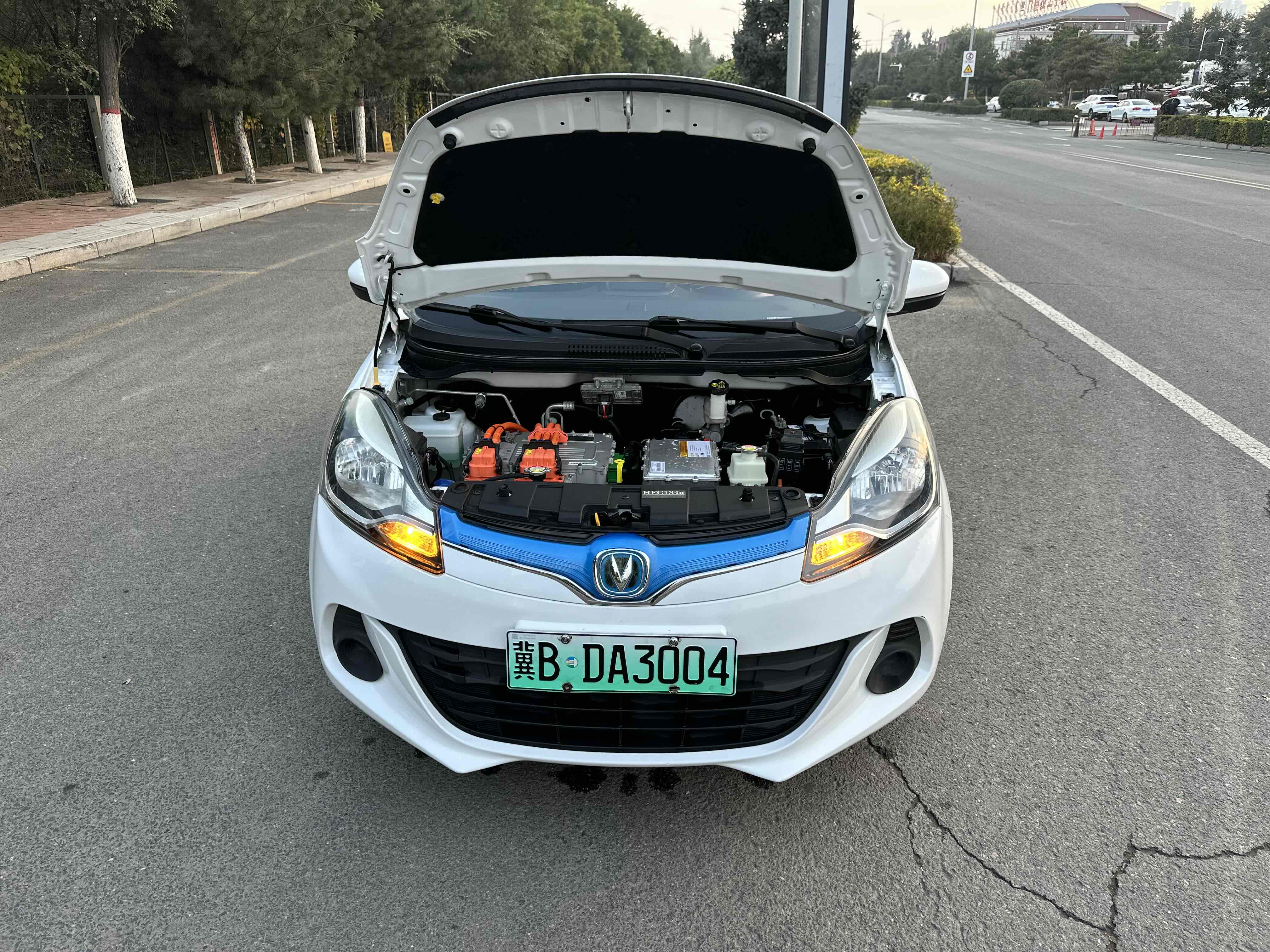 Changan BenBen EV 2019 car image #27