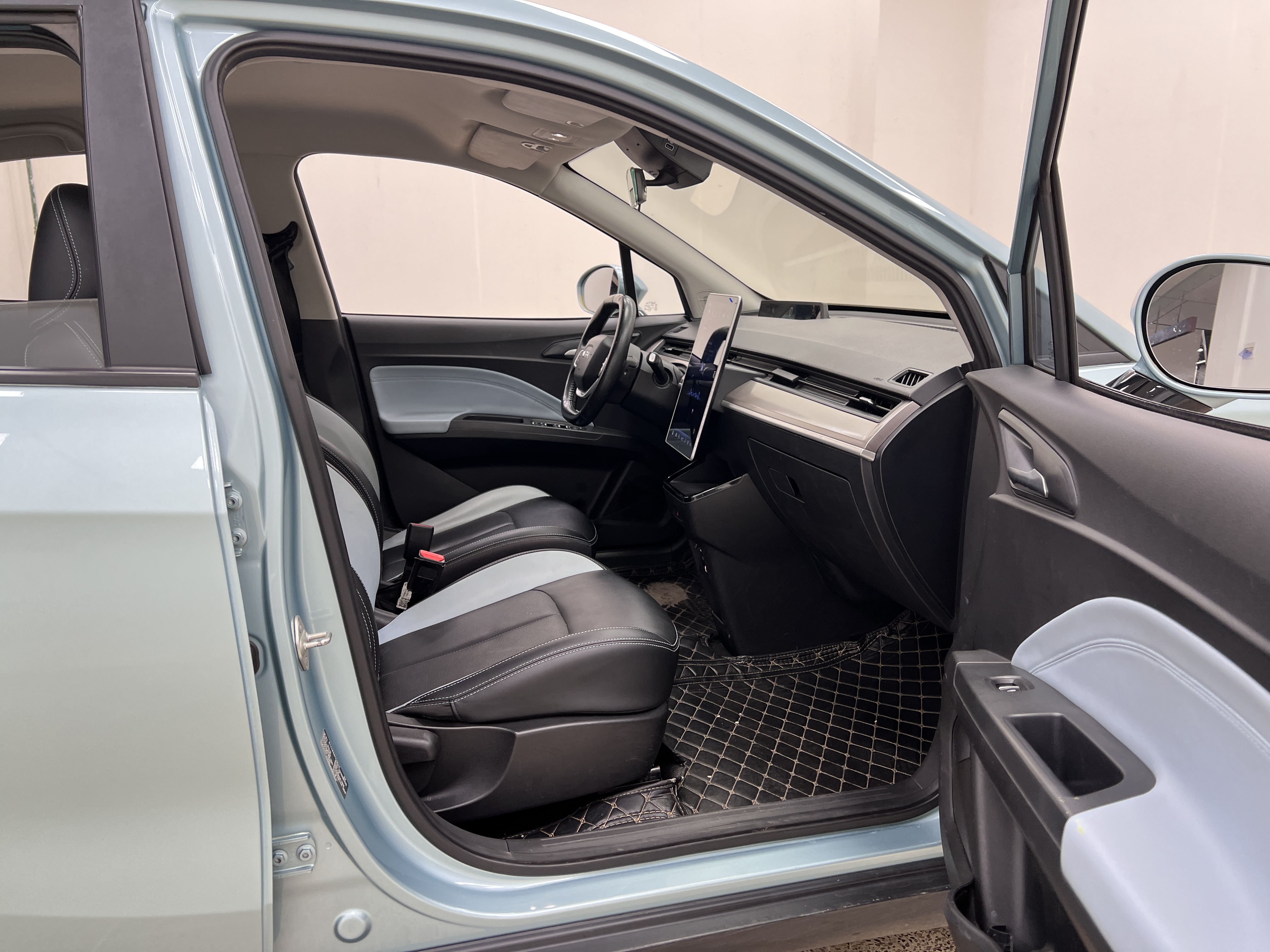 Neta V 2023 imagen de coche #27