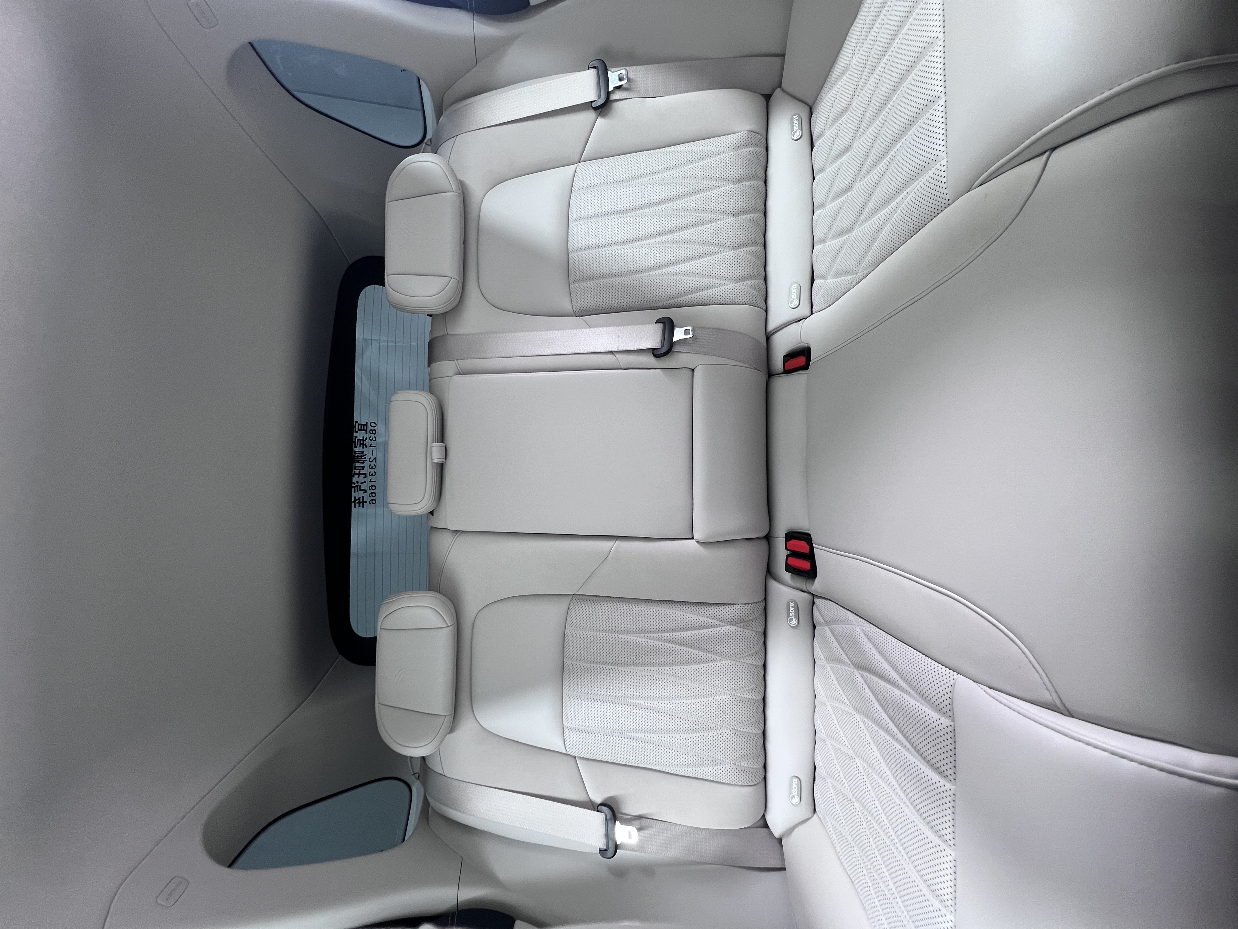 Neta L 2024 imagen de coche #27