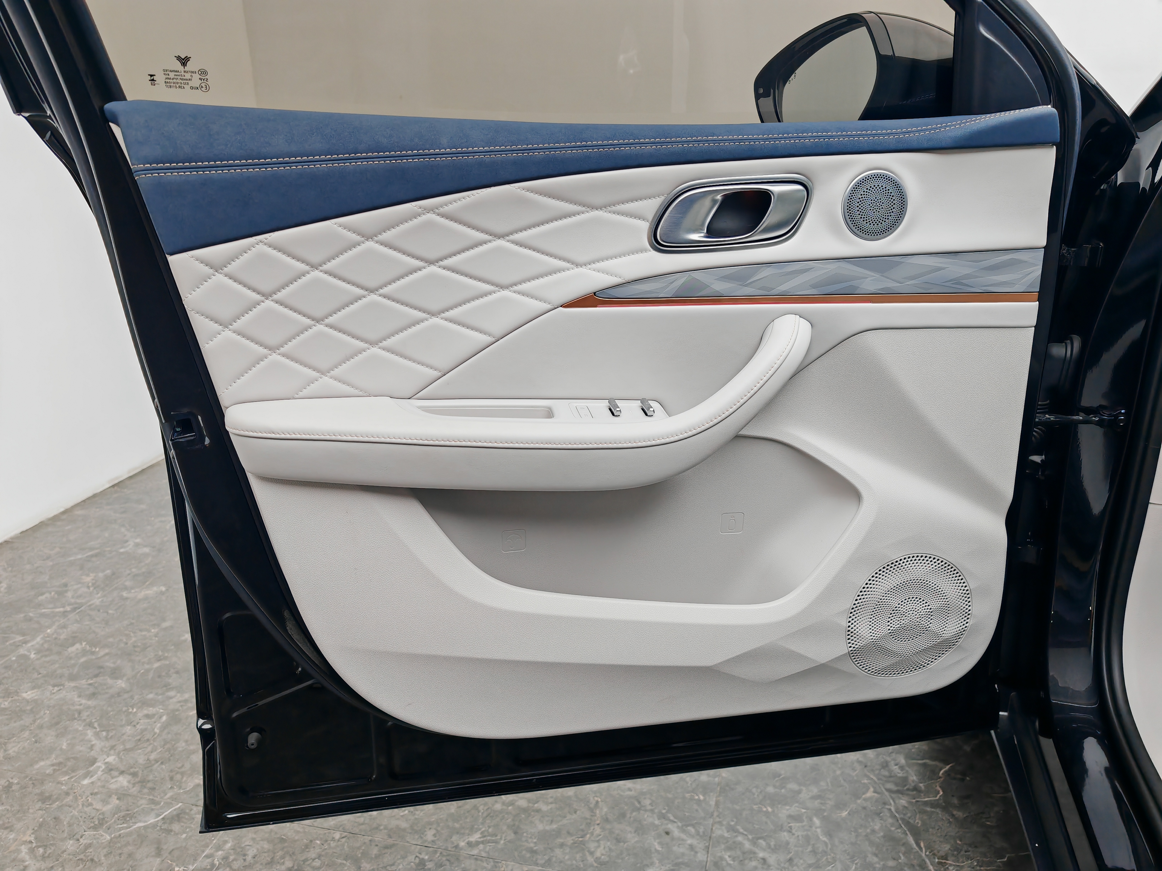 Neta L 2024 imagen de coche #27