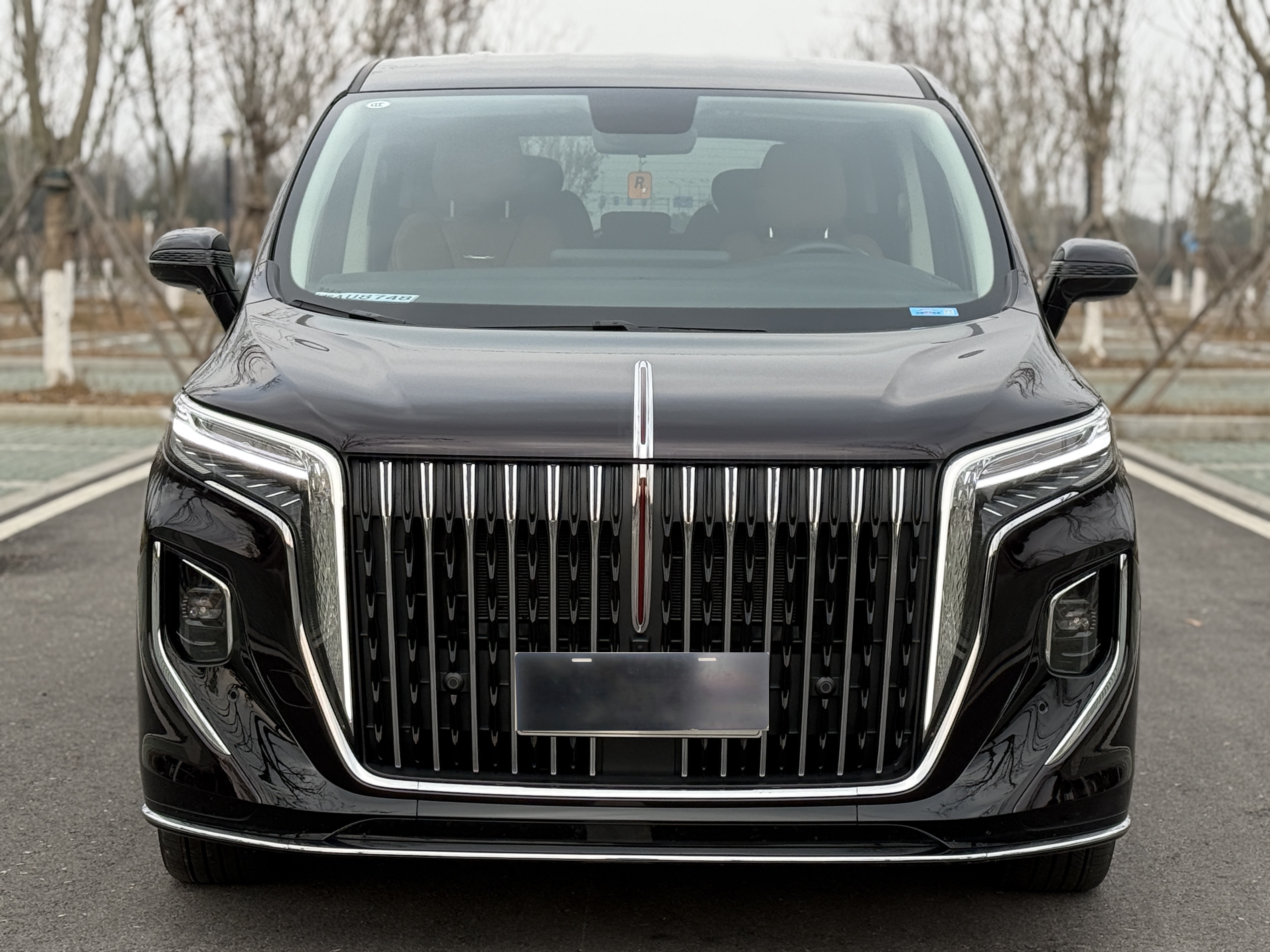 HongQi HQ9 PHEV 2024 #27 HongQi HQ9 PHEV 2024 car image #27