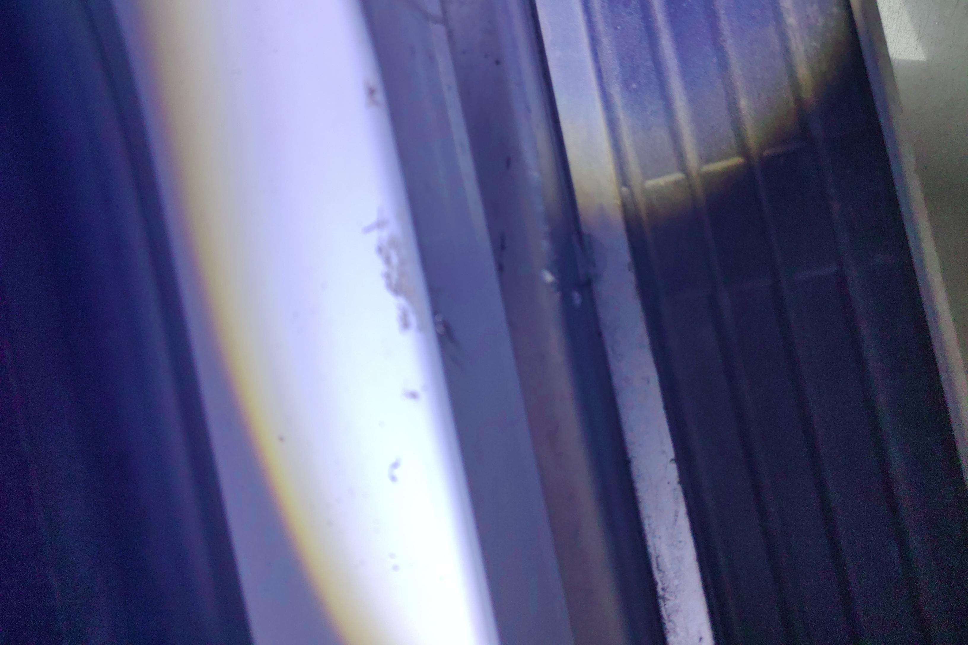 Roewe RX8 2018 изображение автомобиля #27