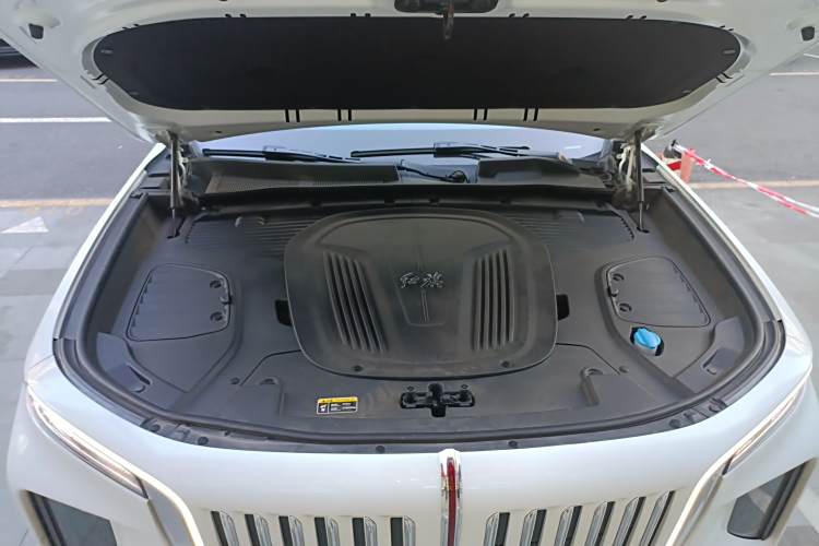 HongQi E-HS9 2023 car image #27