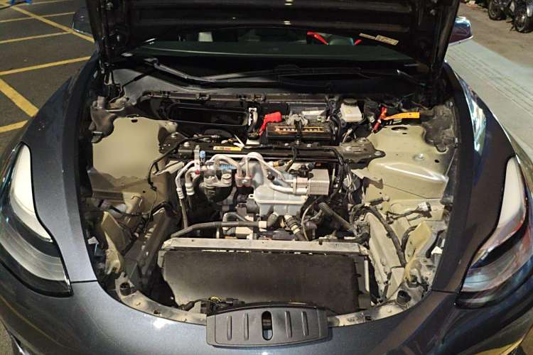 特斯拉 Model 3(进口) 2019 汽车图片 #27