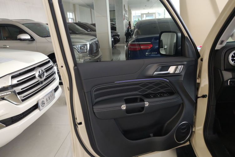 Tank 300 New Energy 2025 imagen de coche #27