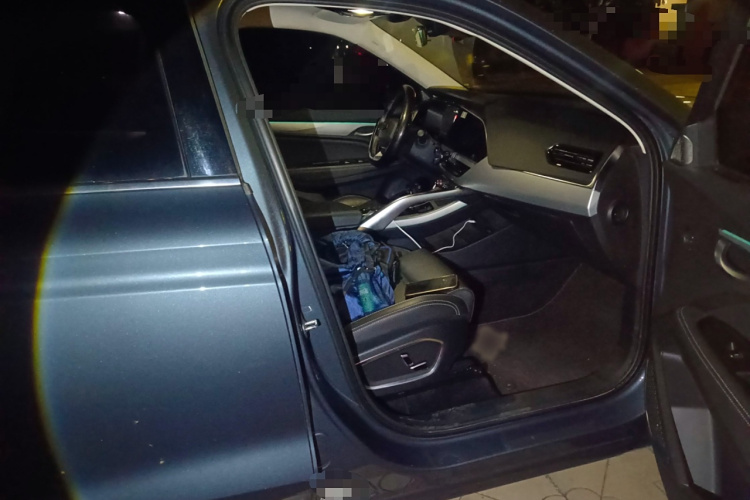 GEELY Tugella New Energy 2019 car image #27