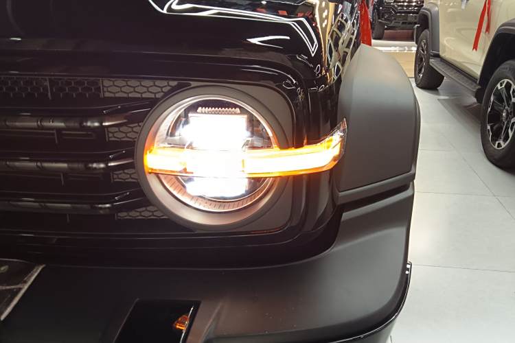 Tank 300 New Energy 2025 car image #27