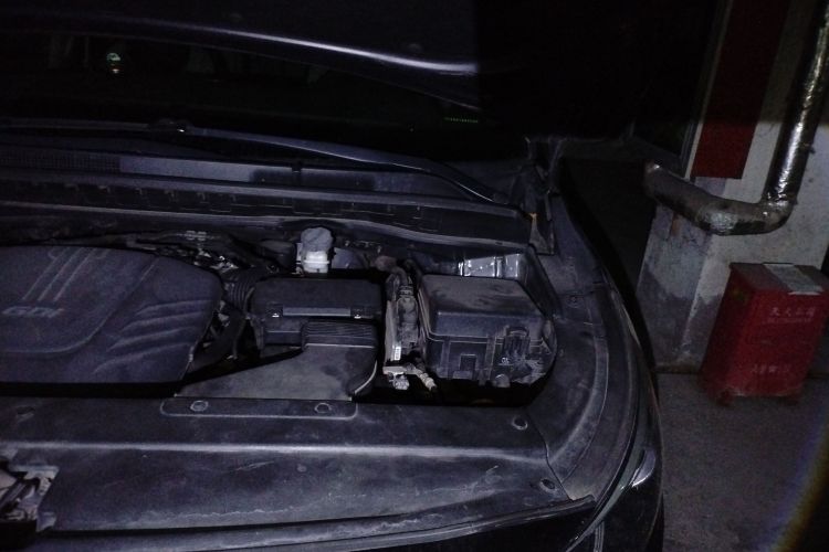 Kia Carnival (Imported) 2016 car image #27