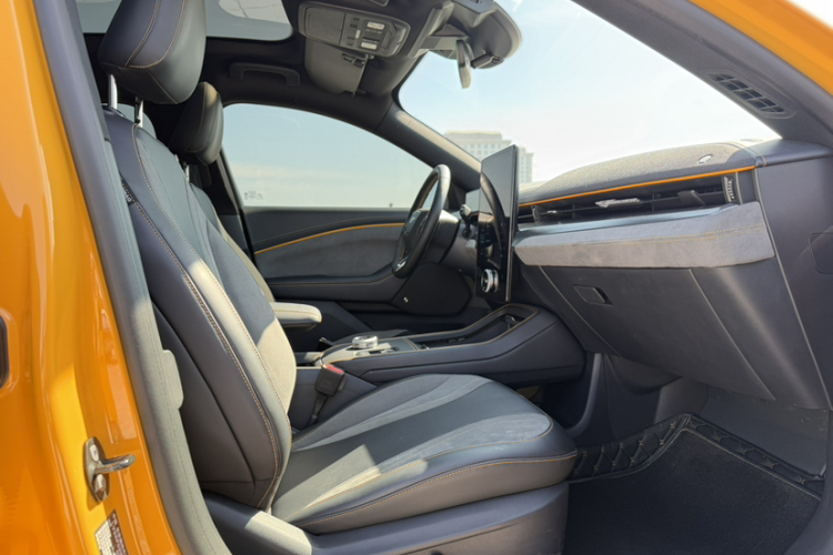 Ford Mustang Mach-E 2023 car image #27