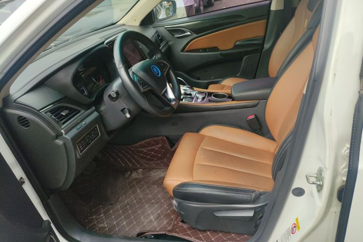 BYD Qin New Energy 2018 car image #27