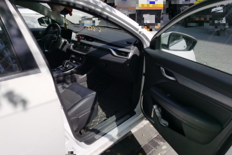 GEELY Emgrand New Energy 2018 car image #27