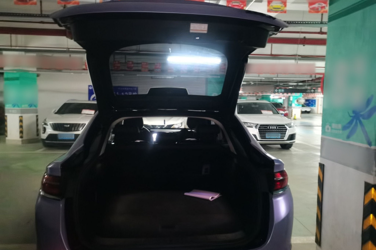 GEELY Tugella 2020 car image #27